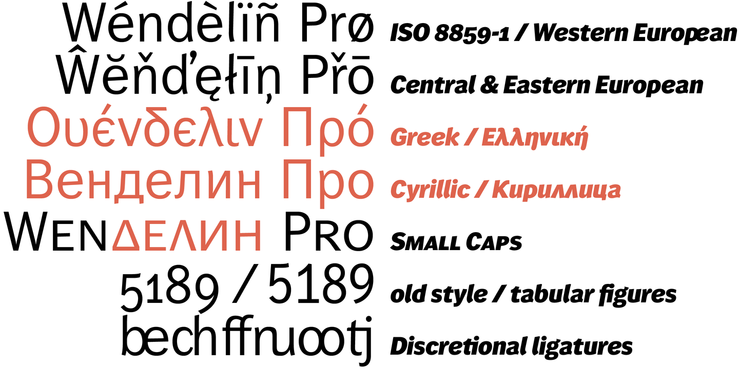 Wendelin Pro Leicht Font preview